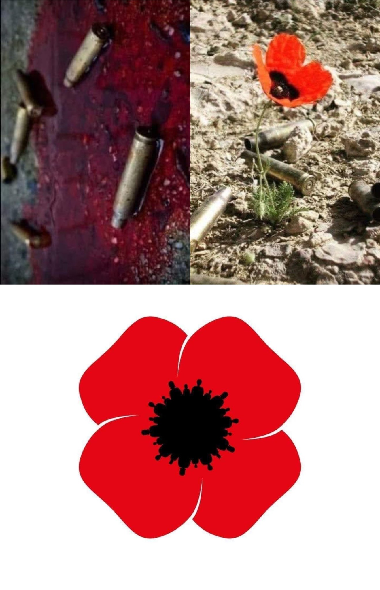 No photo description available.