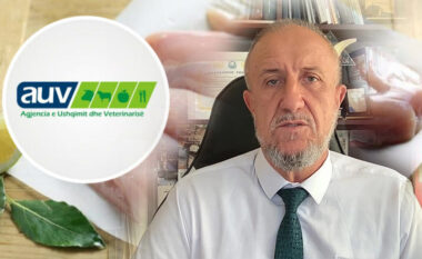 Piraj: Mishi me salmonelë nuk hyri kurrë në treg, u kthye në Rumani me kërkesën tonë