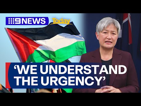 Penny Wong comments on Australia recognising Palestinian statehood | 9 News Australia