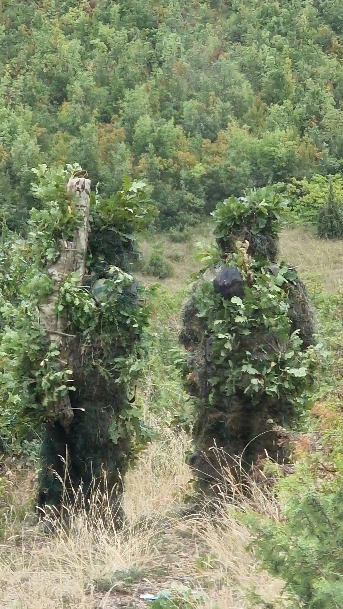 Mund të jetë një imazh i pandë dhe pemë