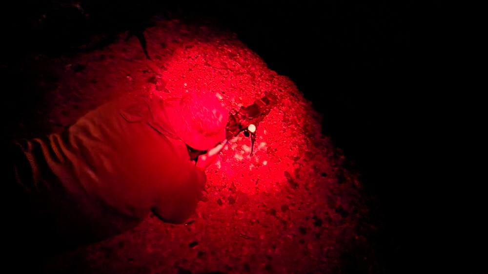 Përshkrimi i fotografisë nuk është i disponueshëm.