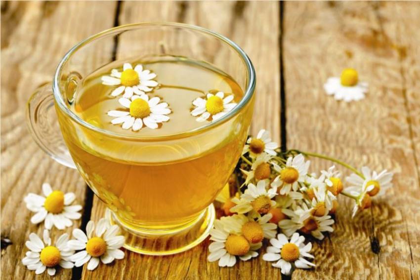 Sado i shëndetshëm që është, mësoni rastet kur kamomili të bën dëm – Ekonomia Online