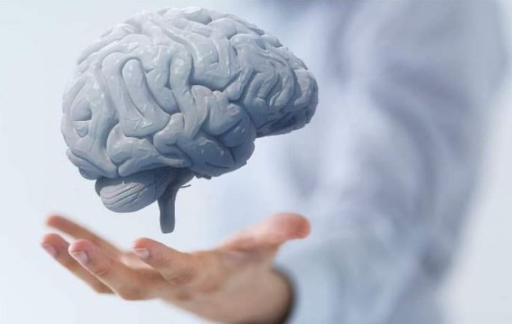 Sëmundjet e zemrës ndikojnë në shëndetin e trurit – Ekonomia Online