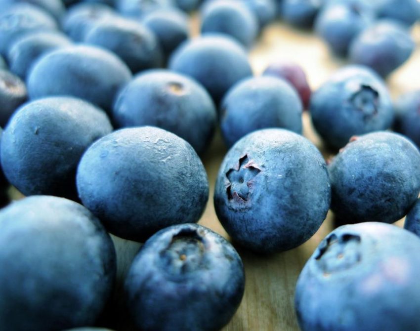 Boronica jep energji, ul kolesterolin, parandalon kancerin dhe detoksifikon – Ekonomia Online