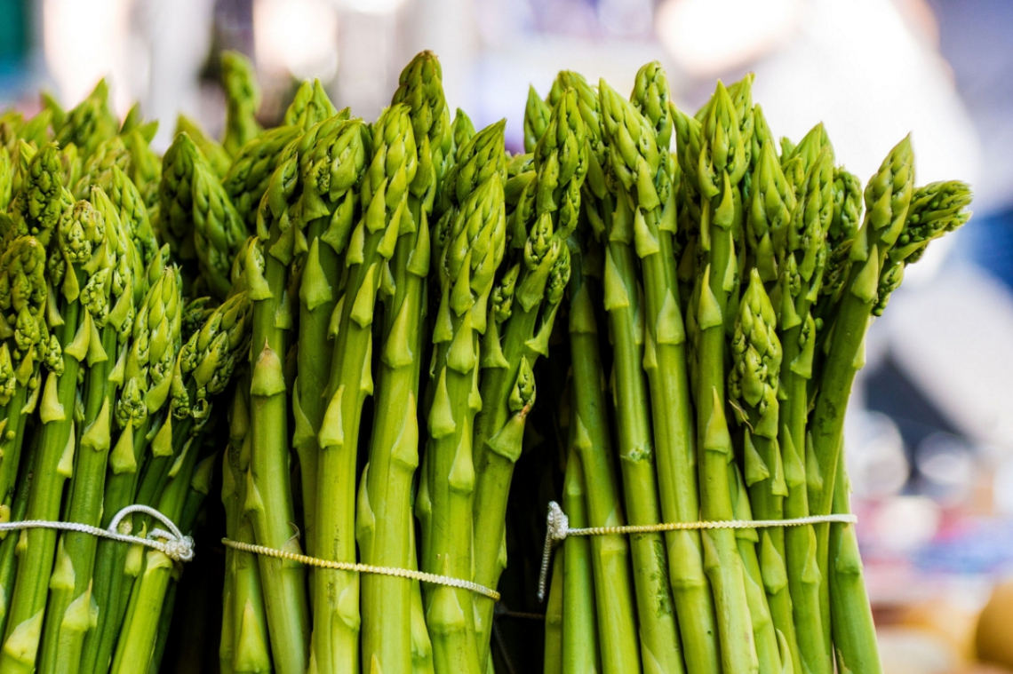 Shpargu ndihmon në uljen e tensionit të gjakut – Ekonomia Online