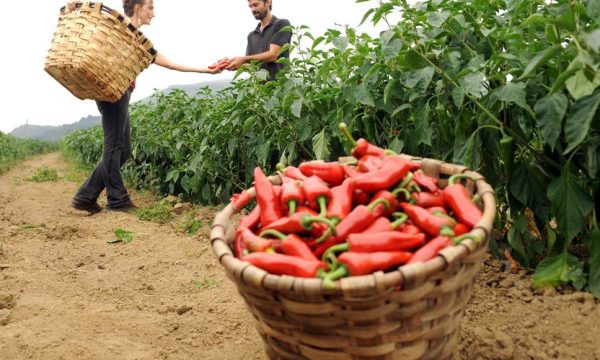 Studim interesant për personat që hanë ushqim djegës – Ekonomia Online