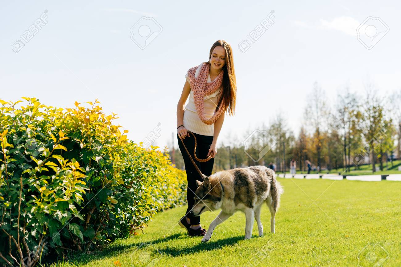 Si komunikojnë qentë me ne – Ekonomia Online