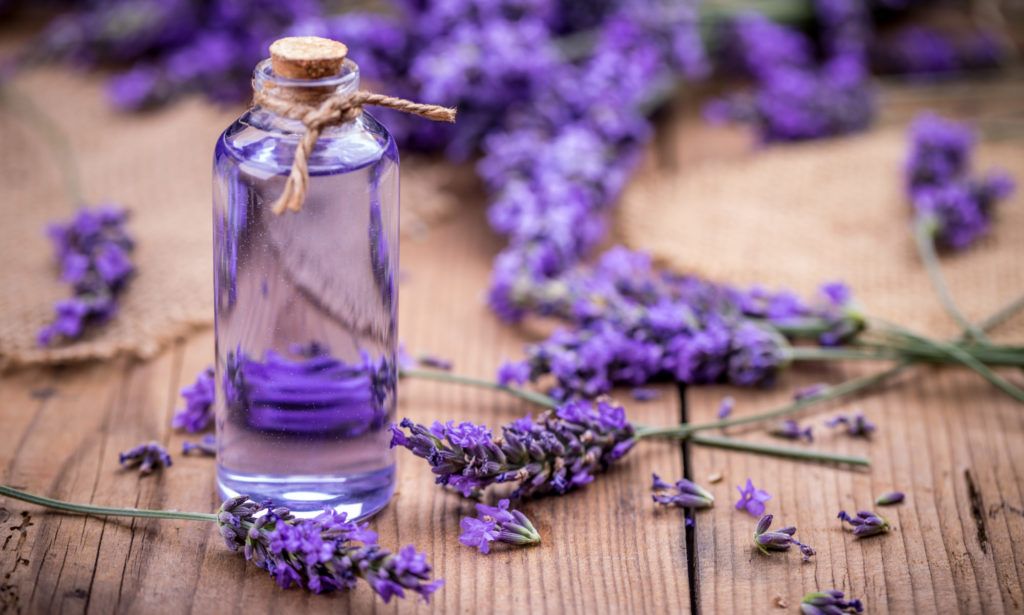 Përfitimet nga vaji i livandës – Ekonomia Online