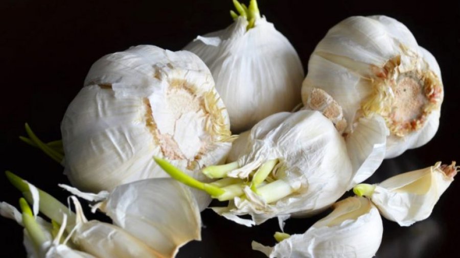 Katër sekretet e hudhrës – Ekonomia Online