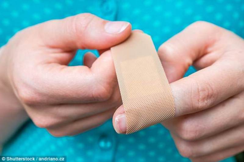 Fashat ngjitëse me proteina shërojnë më shpejtë plagët – Ekonomia Online
