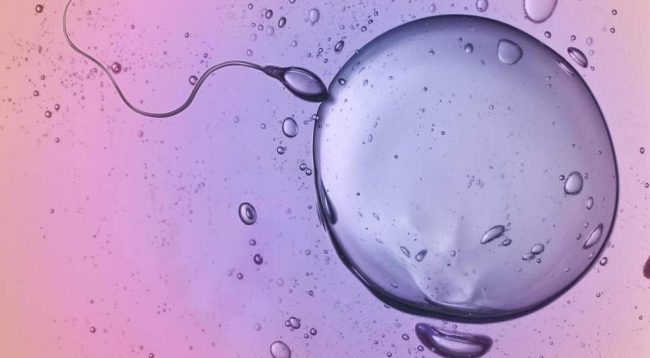 Keni pasur abortime të përsëritura? Faji mund të jetë tek partneri juaj – Ekonomia Online